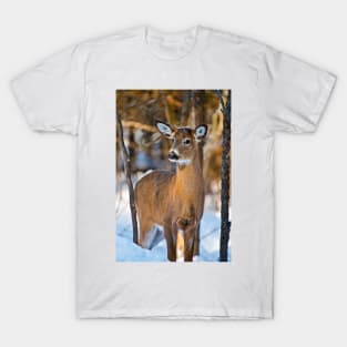 White-tailed Deer T-Shirt